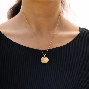SarahBijoux Mediterranean Gold necklace