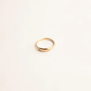 SarahBijoux Reef Signet Gold Ring